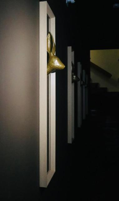 Casa Coelho Guesthouse 科英布拉 外观 照片